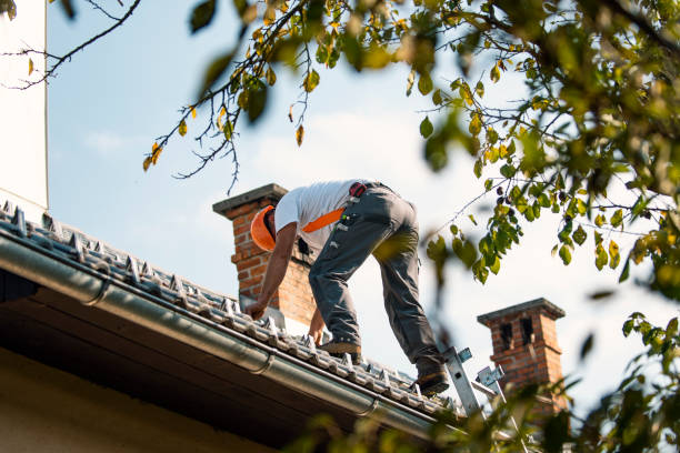 Best Metal Roofing Contractor  in Redwood City, CA