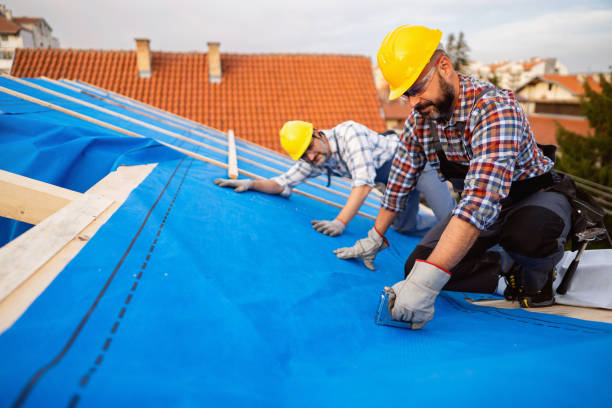 Best Roof Restoration Services  in Redwood City, CA