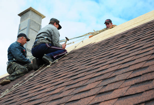 Best Roof Gutter Cleaning  in Redwood City, CA